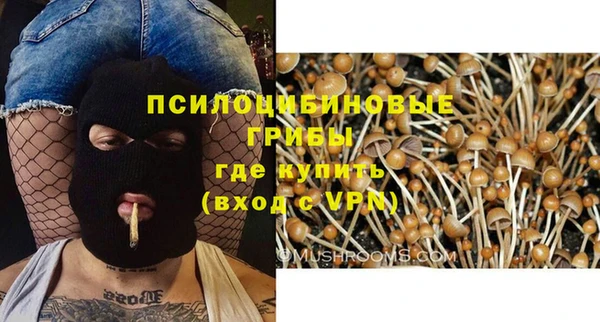 синтетический гашиш Алексин
