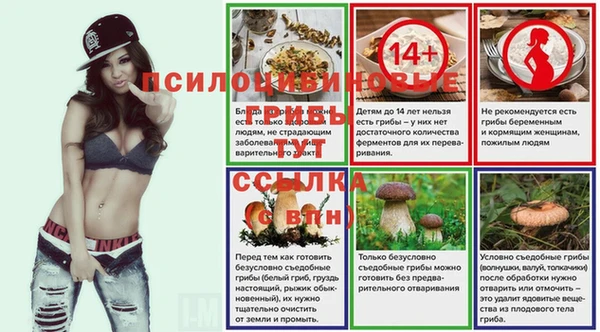 каннабис Гусь-Хрустальный